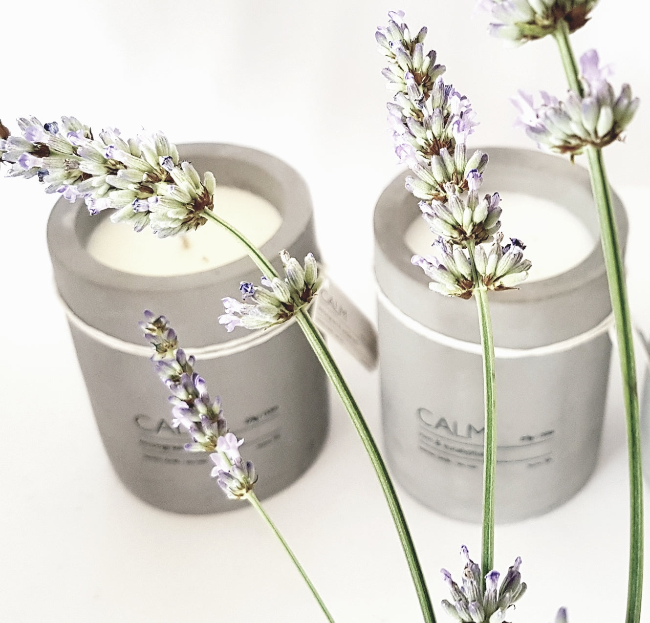 Calm Concrete Candles