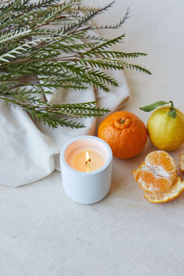 Rind ~ citrus zest, vetiver, bergamot, peppercorn, orange blossom