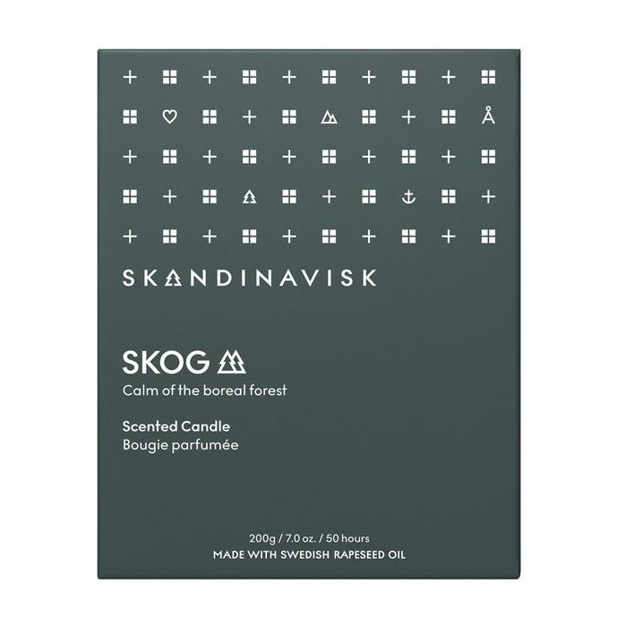 Skog ~ pine needles, fir cones