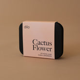 Cactus Flower