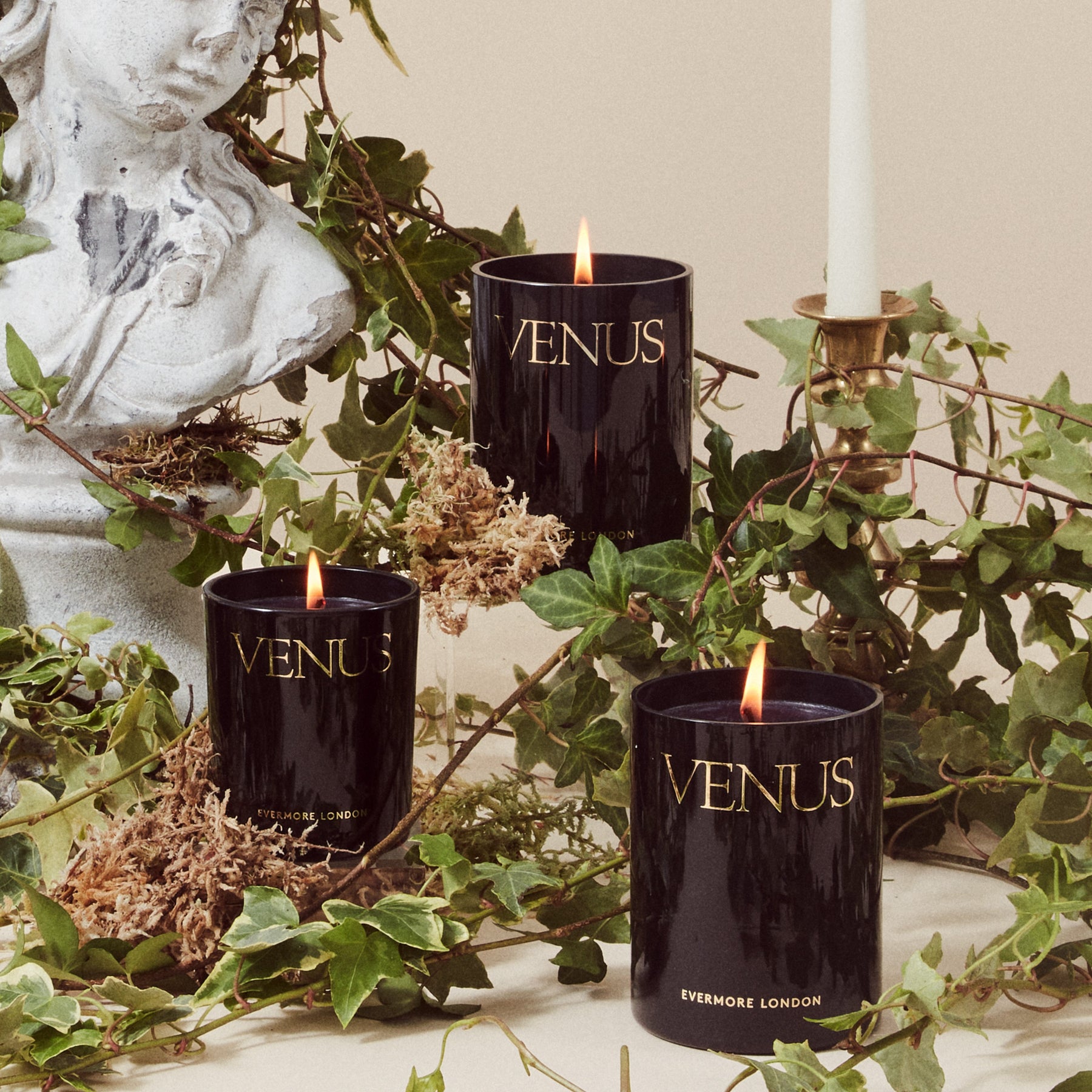 Venus ~ gardenia, jasmine, carnation, musk, amber, tuberose