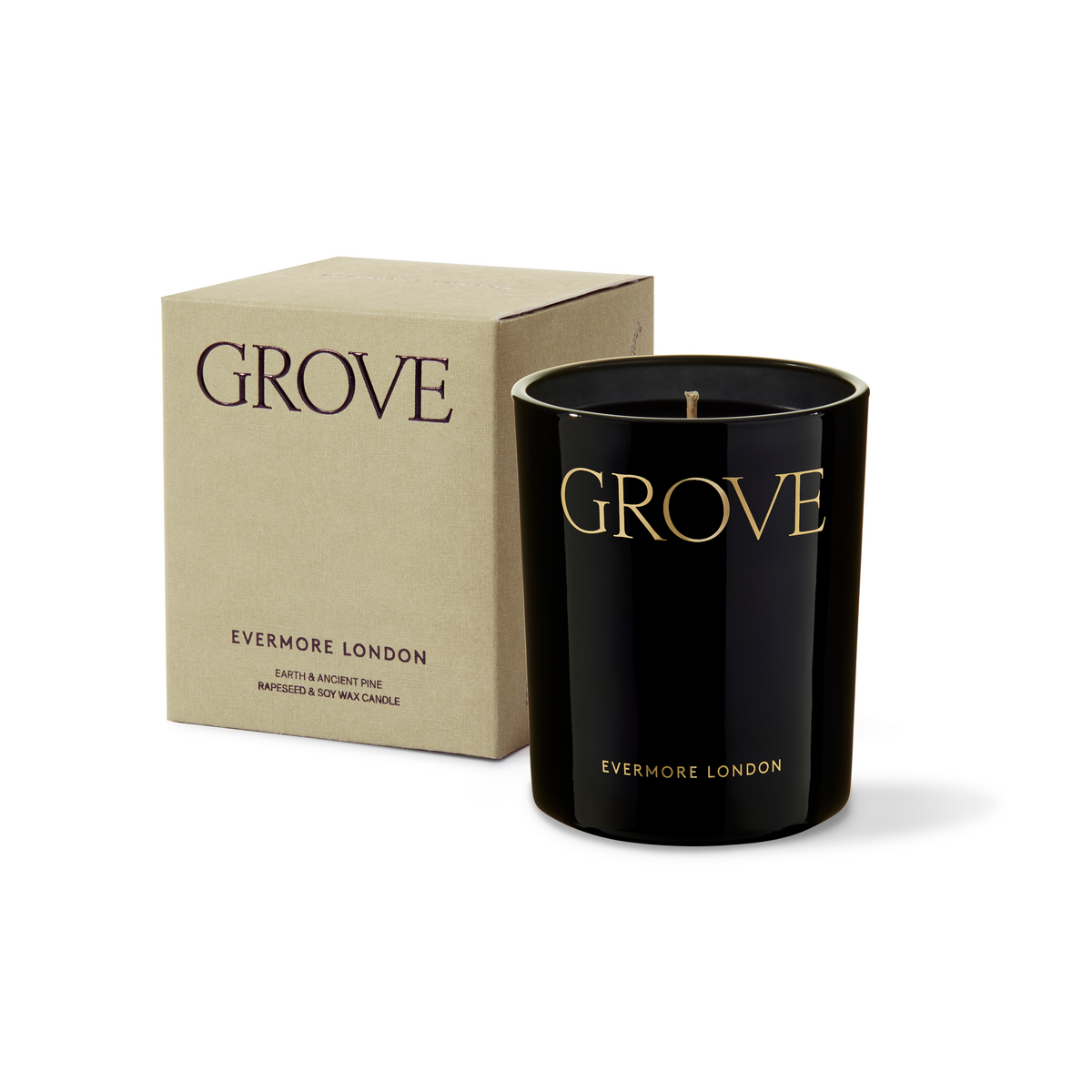 Grove ~pine needle, eucalyptus, silver fir, moss
