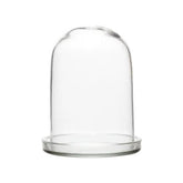 Bell Jar with tray